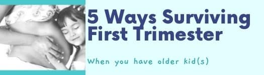 first trimester pregnancy; surviving first trimester with a toddler