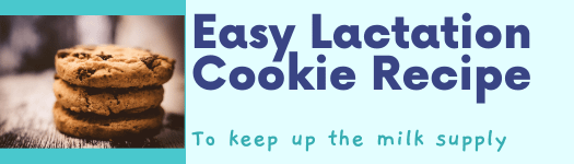 Easy lactation cookie recipe